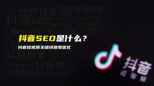 seo短視頻網頁入口引流 抖音APP可以搜到公司網站了